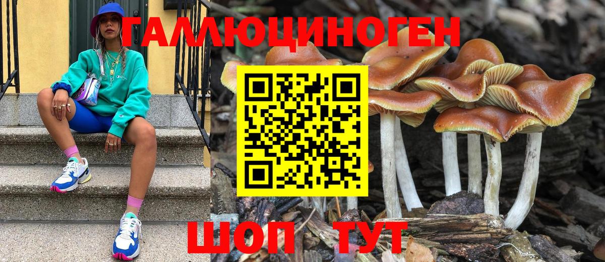 Галлюциногенные грибы прущие грибы  Вход с VPN  Галлюциногенные грибы мухоморы  Омск 