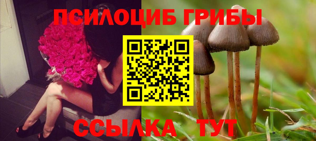 Псилоцибиновые грибы мицелий Омск